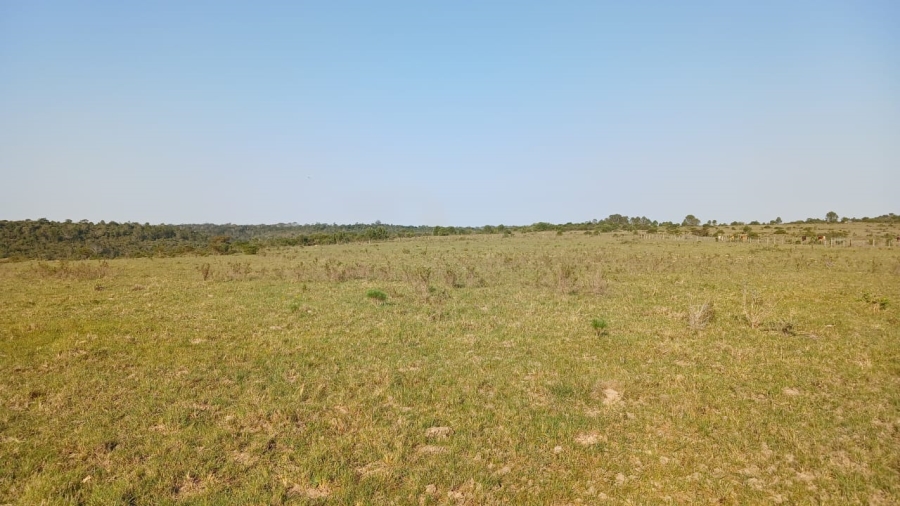 Commercial Property for Sale in Bathurst Eastern Cape